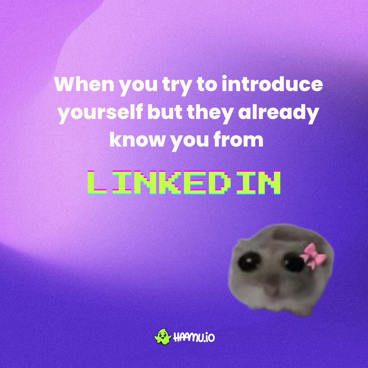 haamu.io ad