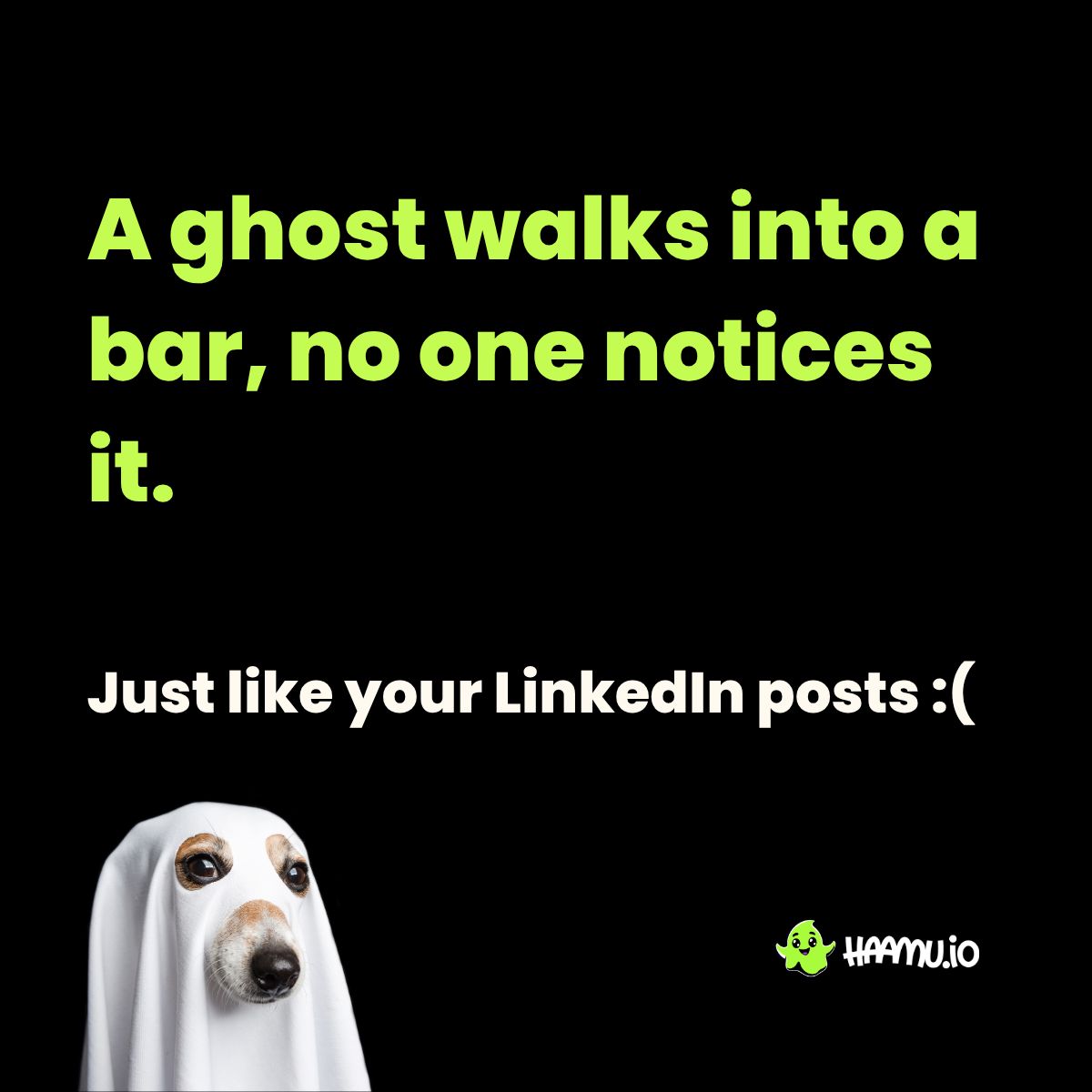 haamu.io ad