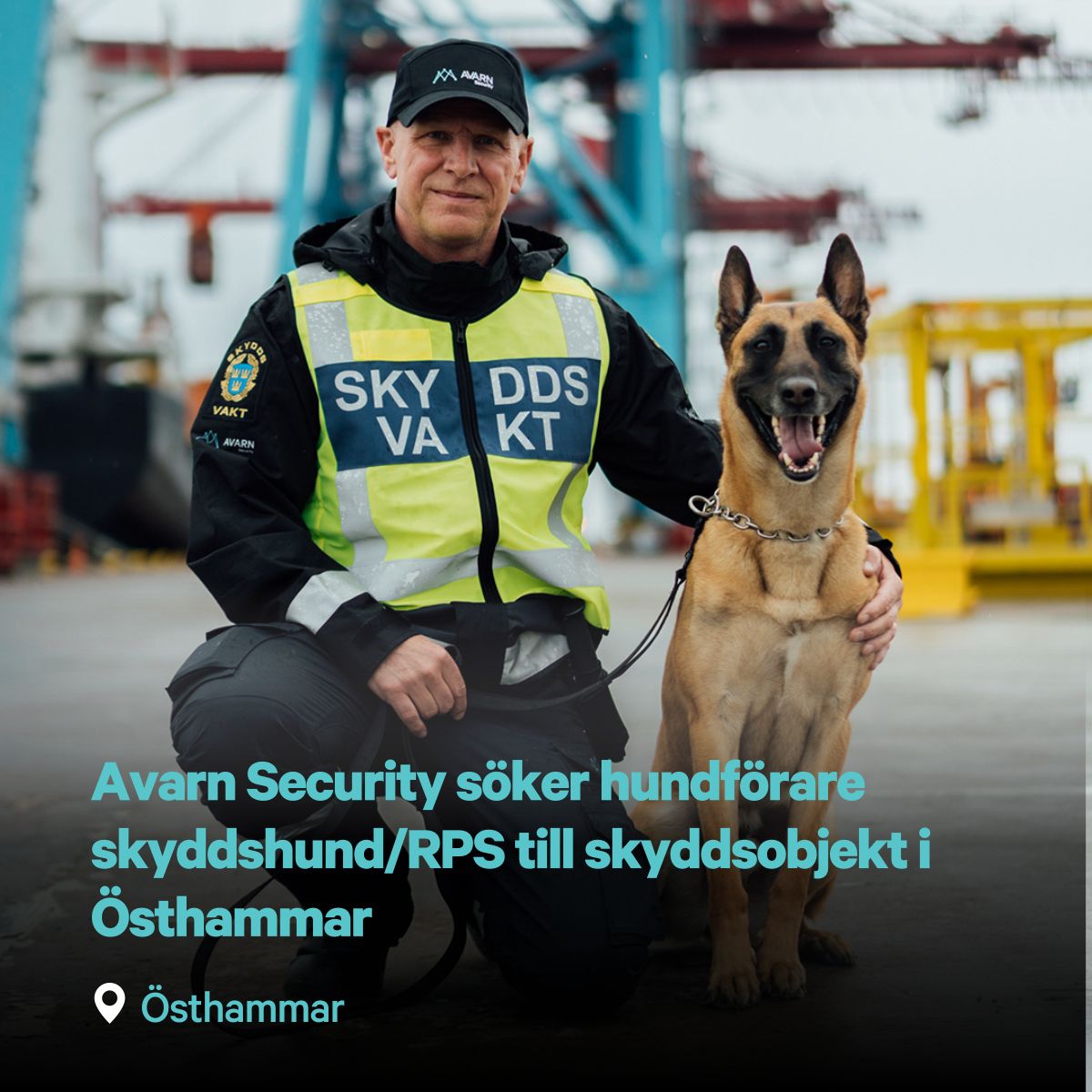 Avarn Security Sverige ad
