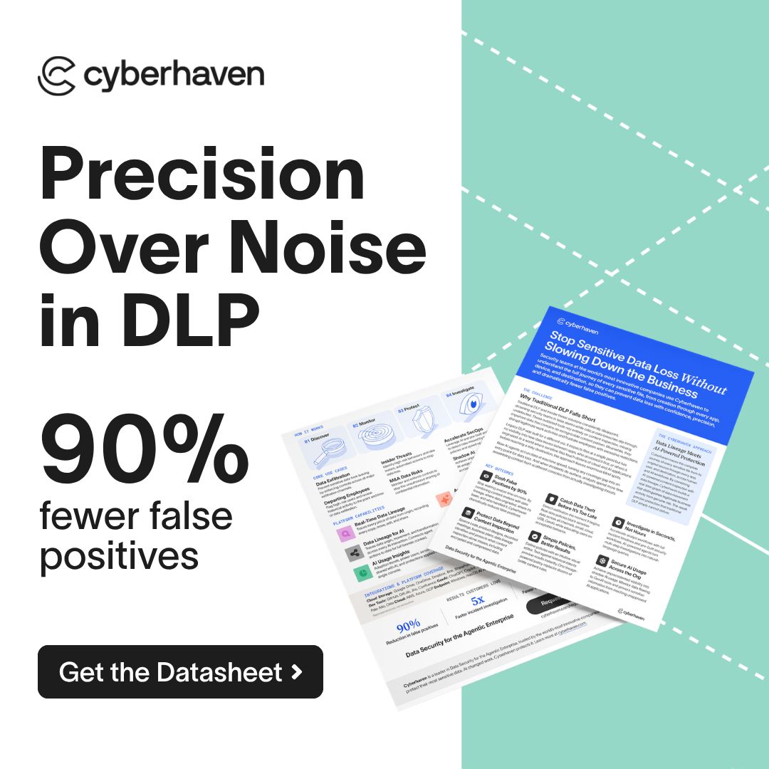 Cyberhaven ad