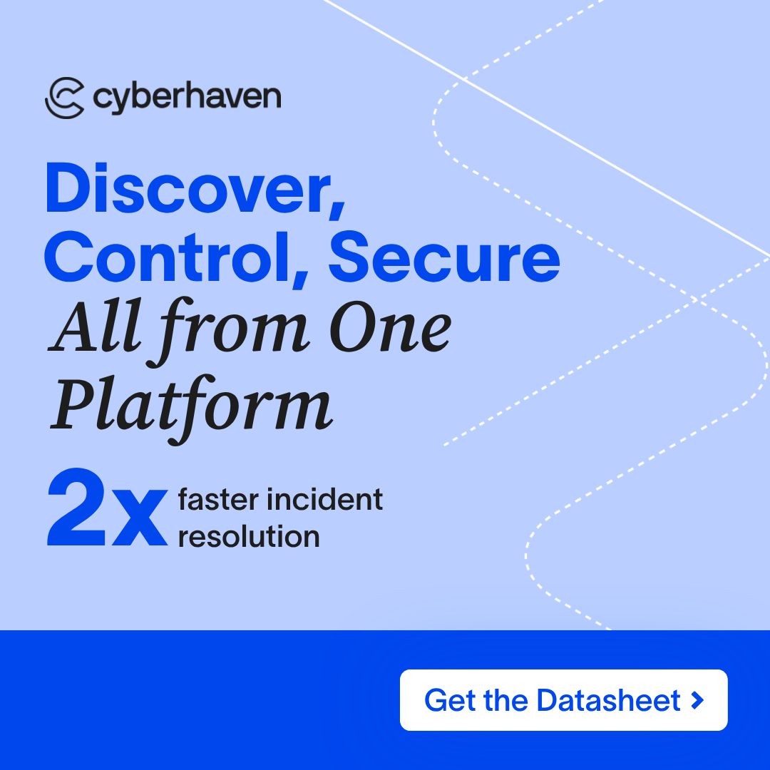 Cyberhaven ad