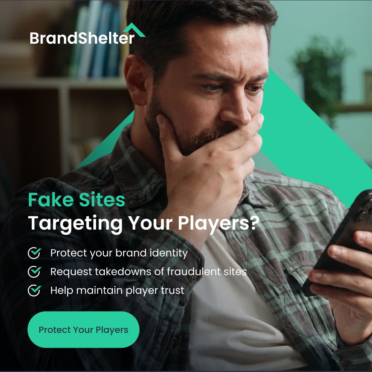 BrandShelter ad