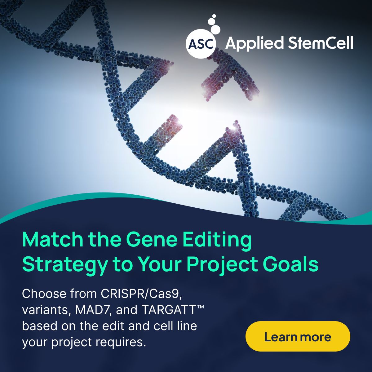 Applied StemCell ad