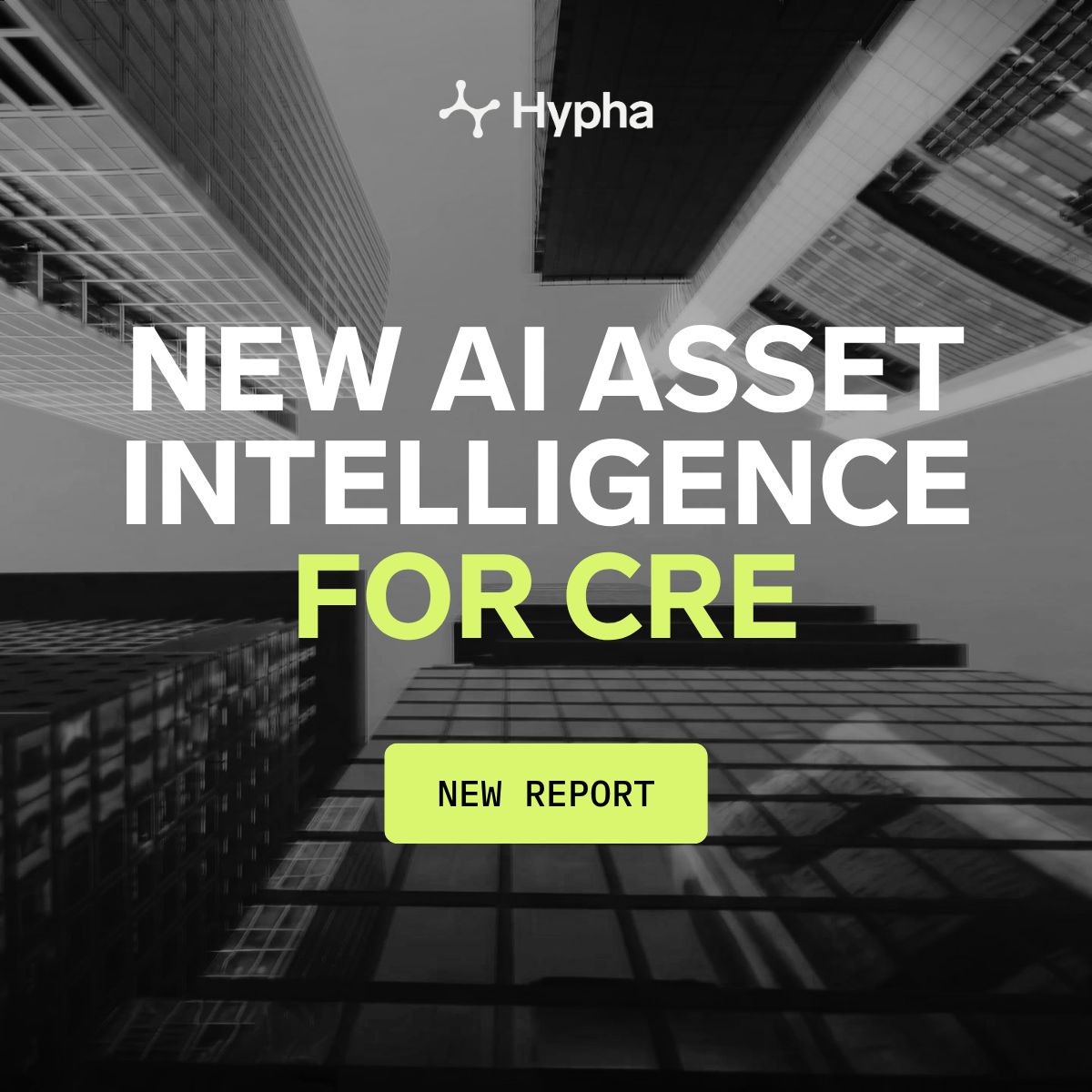 Hypha ad