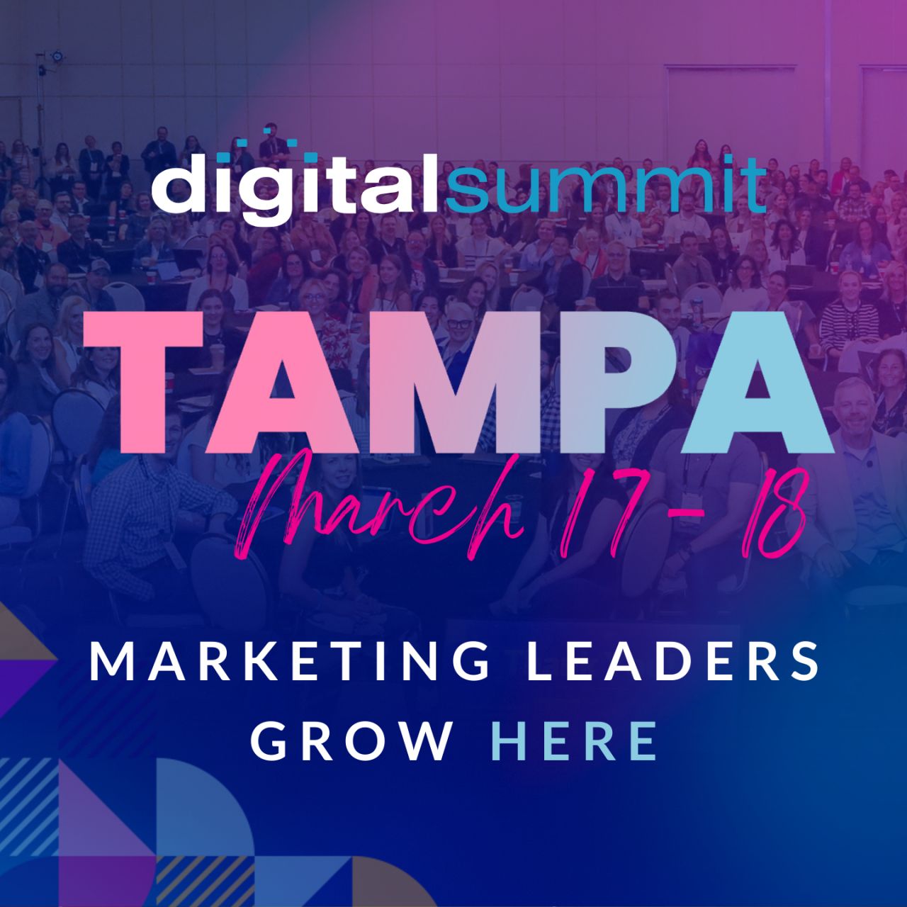 Digital Summit ad
