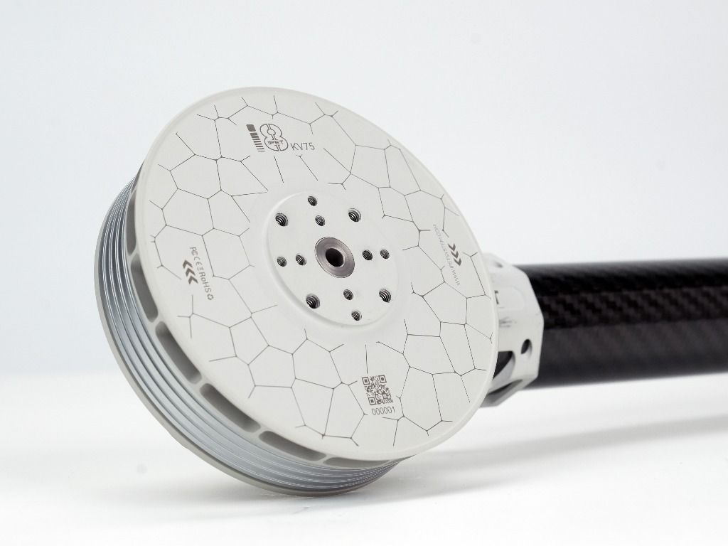 IPET SYSTEM ad