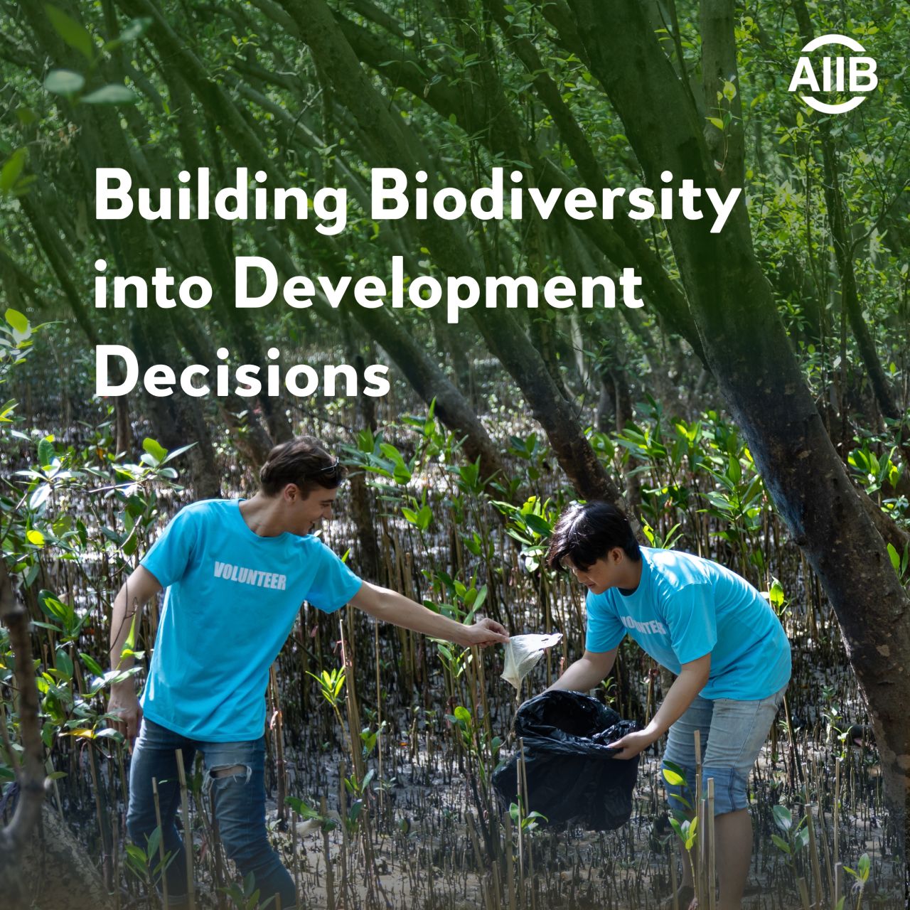 Asian Infrastructure Investment Bank (AIIB) ad