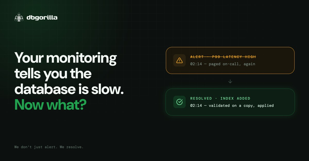 DBGorilla ad