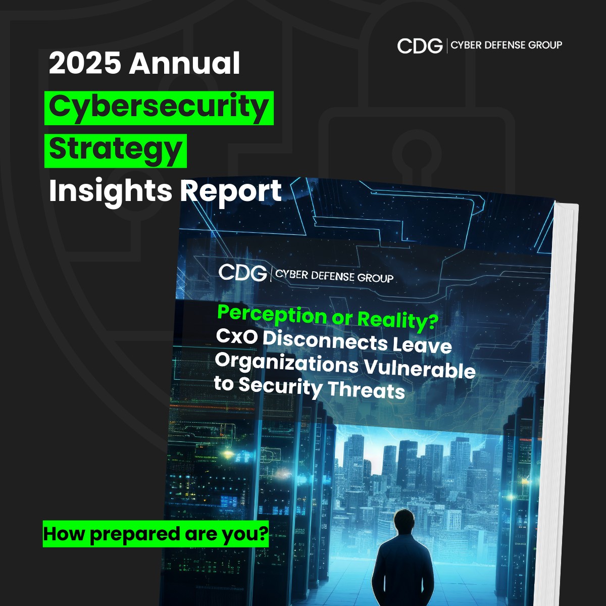 Cyber Defense Group ad