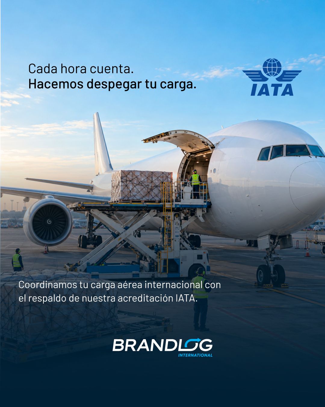 BRANDLOG ad