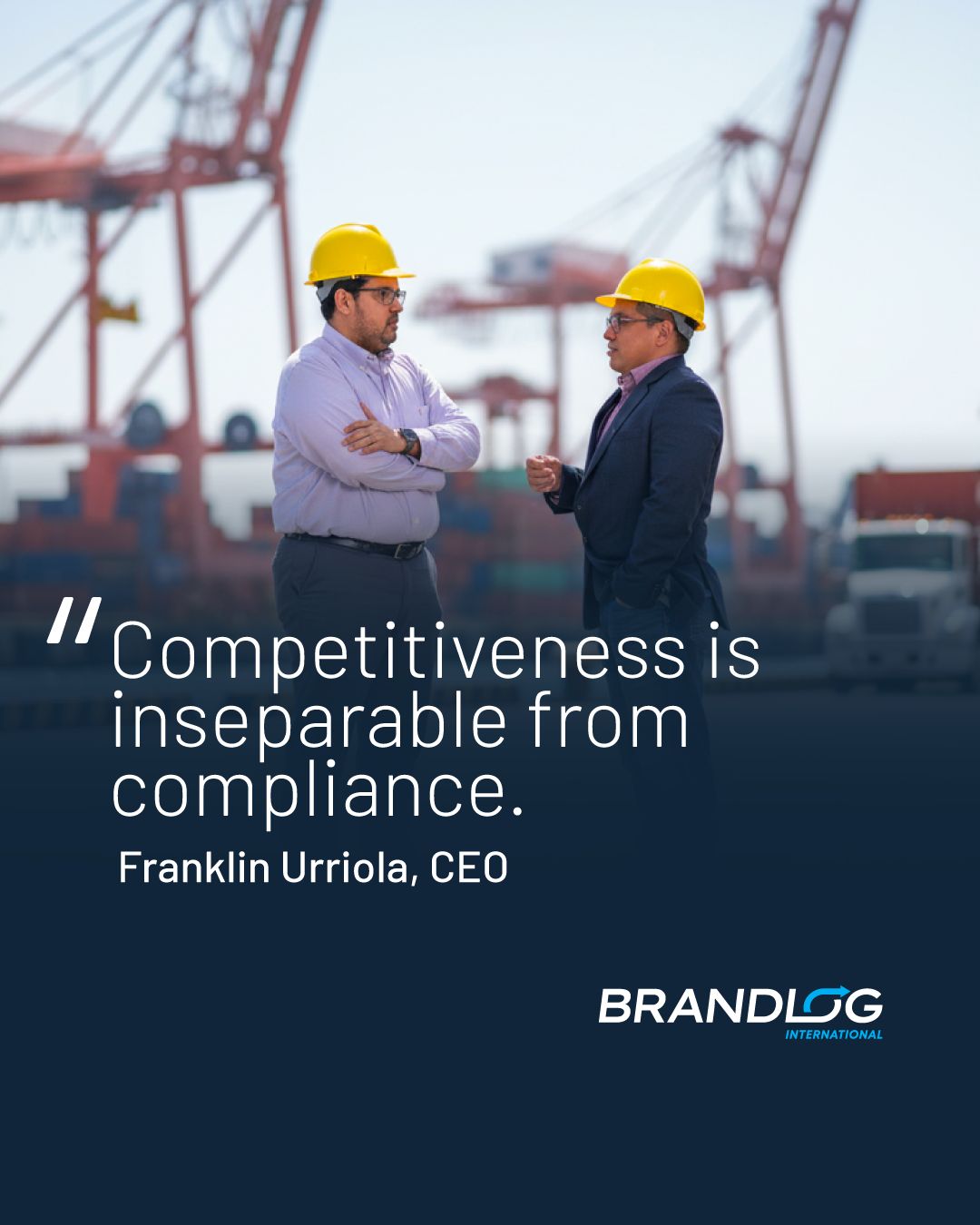 BRANDLOG ad