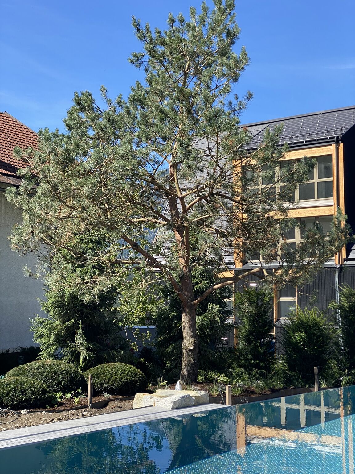 Eder Gartenarchitektur ad