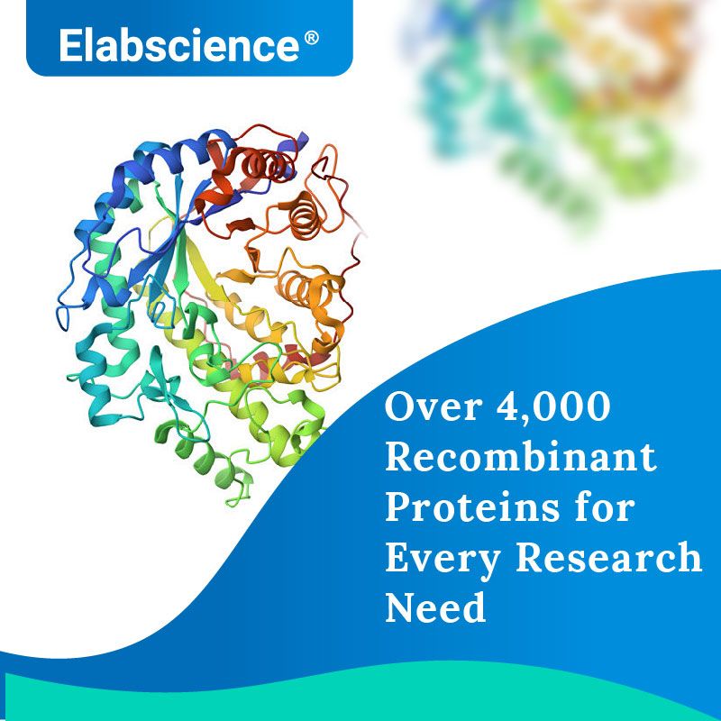 Elabscience Bionovation Inc. ad