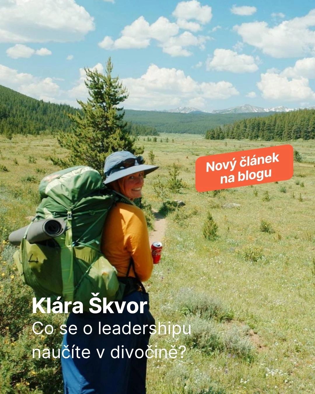 Česká spořitelna ad