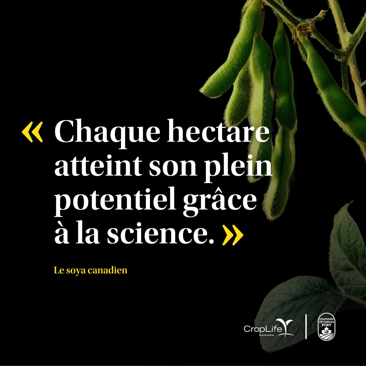 CropLife Canada ad