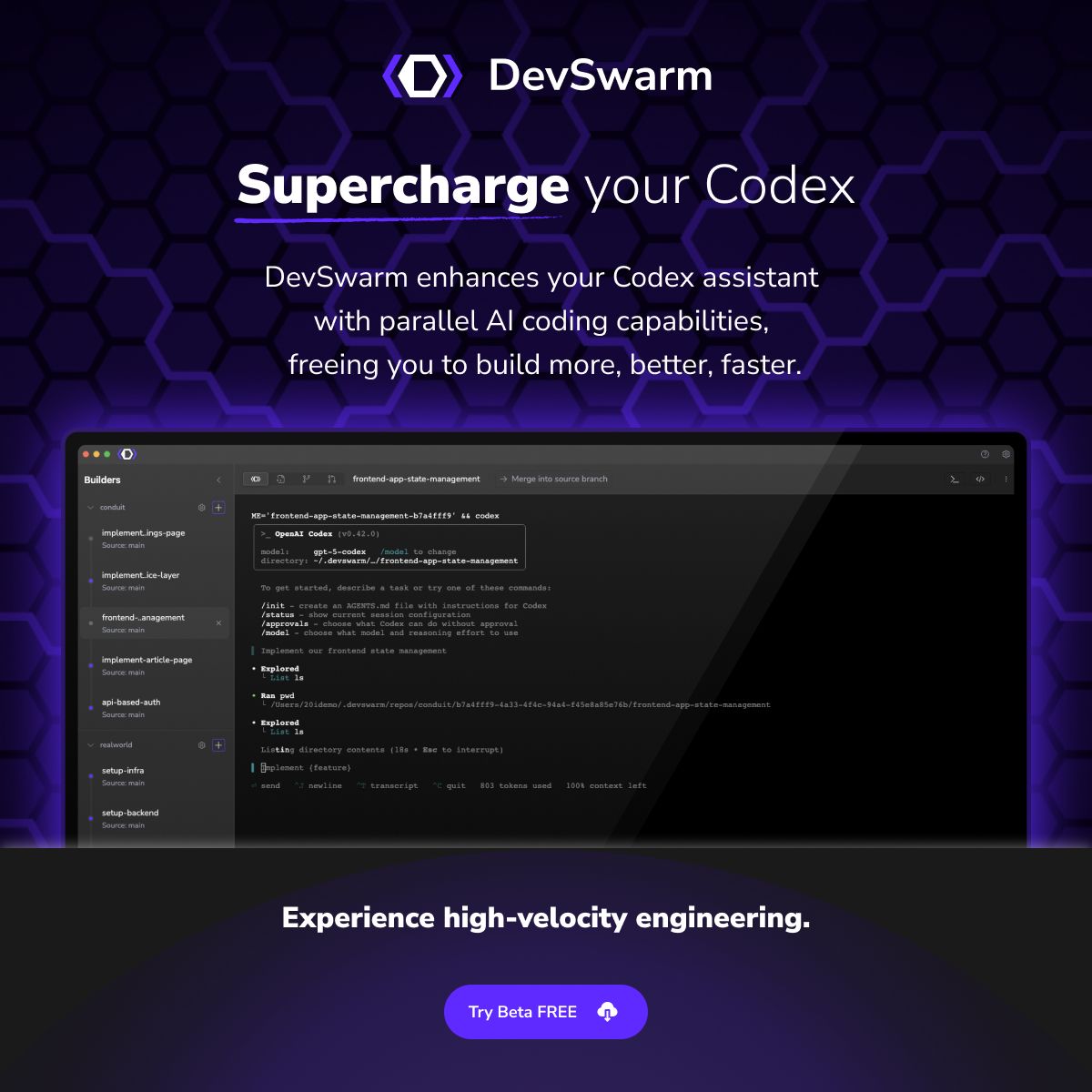 DevSwarm ad