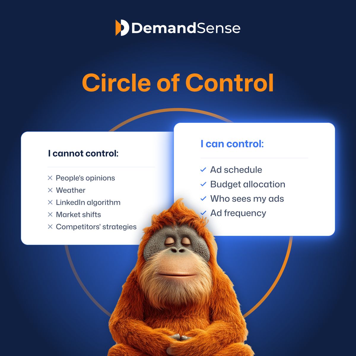 DemandSense ad