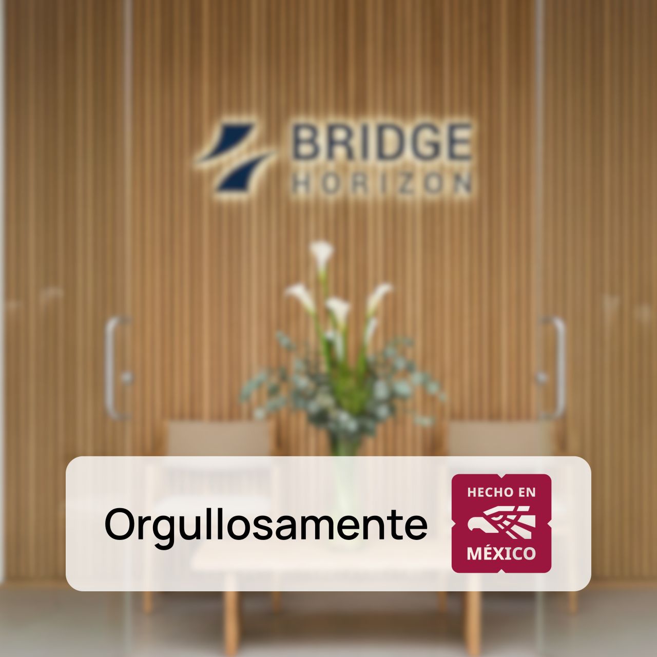 Bridge Horizon ad