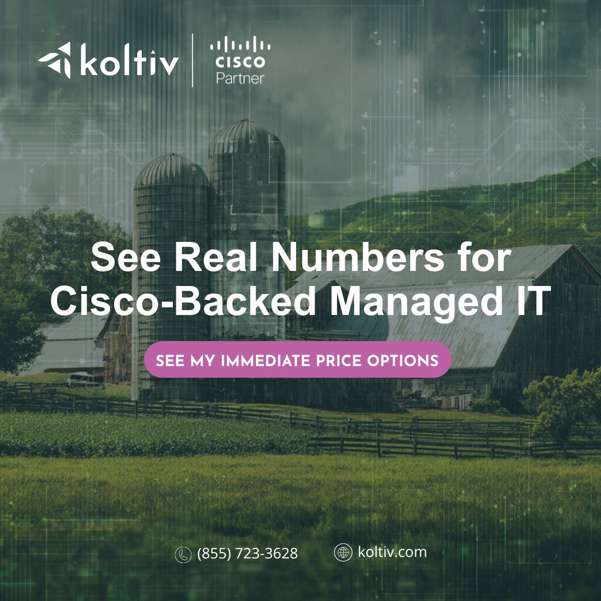 Koltiv ad