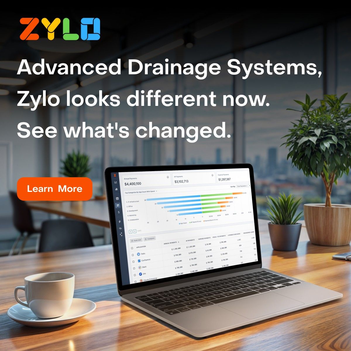 Zylo ad