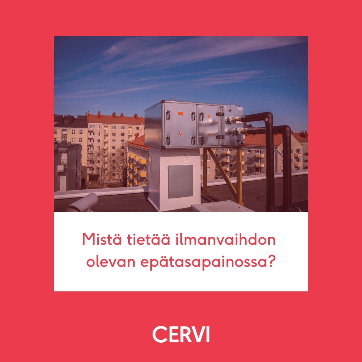 Cervi ad