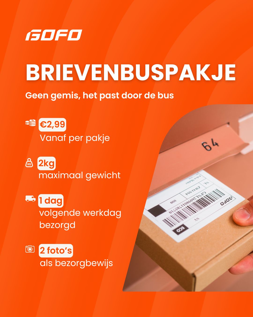 GOFO Netherlands ad