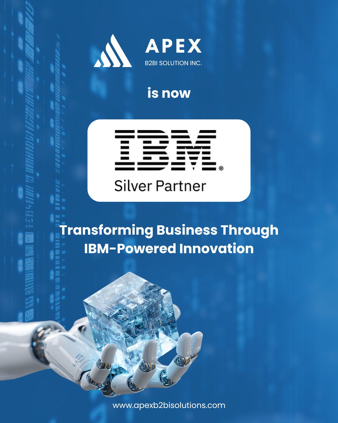 Apex B2Bi Solutions Inc. ad