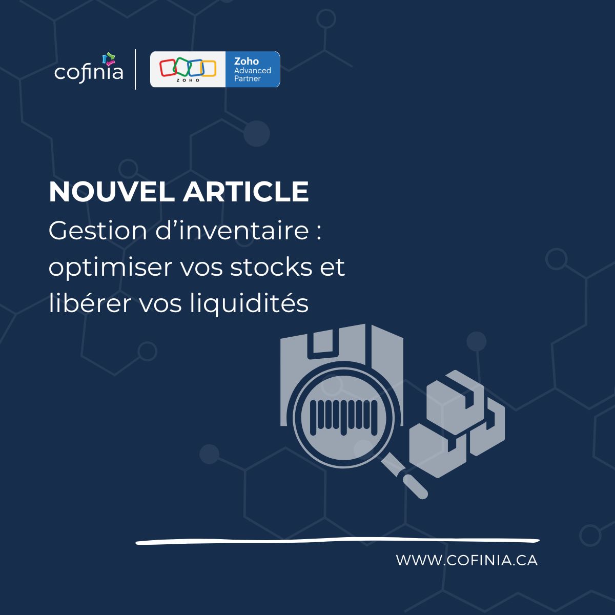 Cofinia conseil Inc ad
