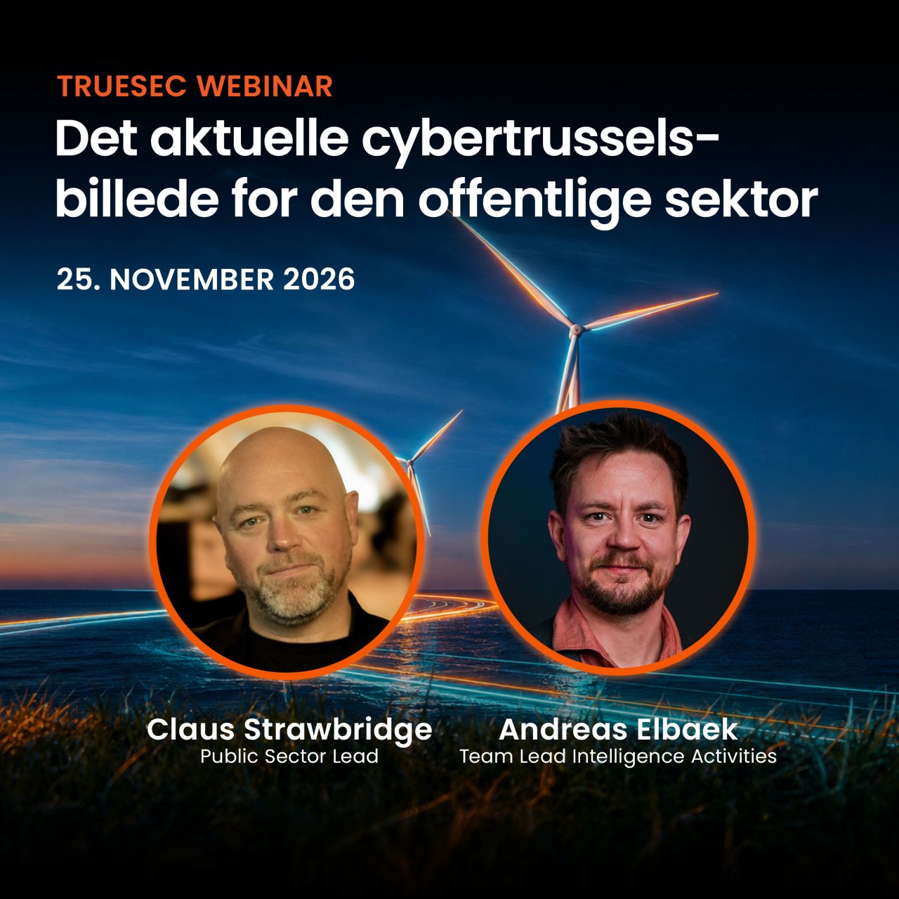 Truesec ad