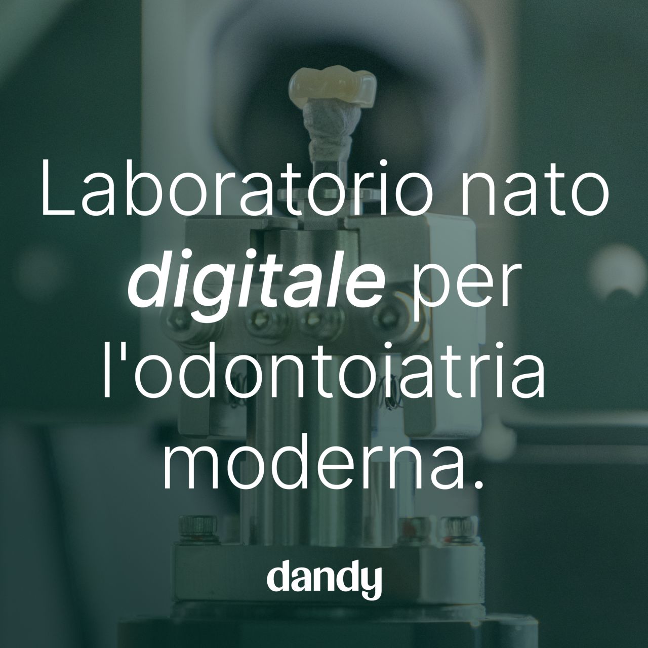 Dandy ad
