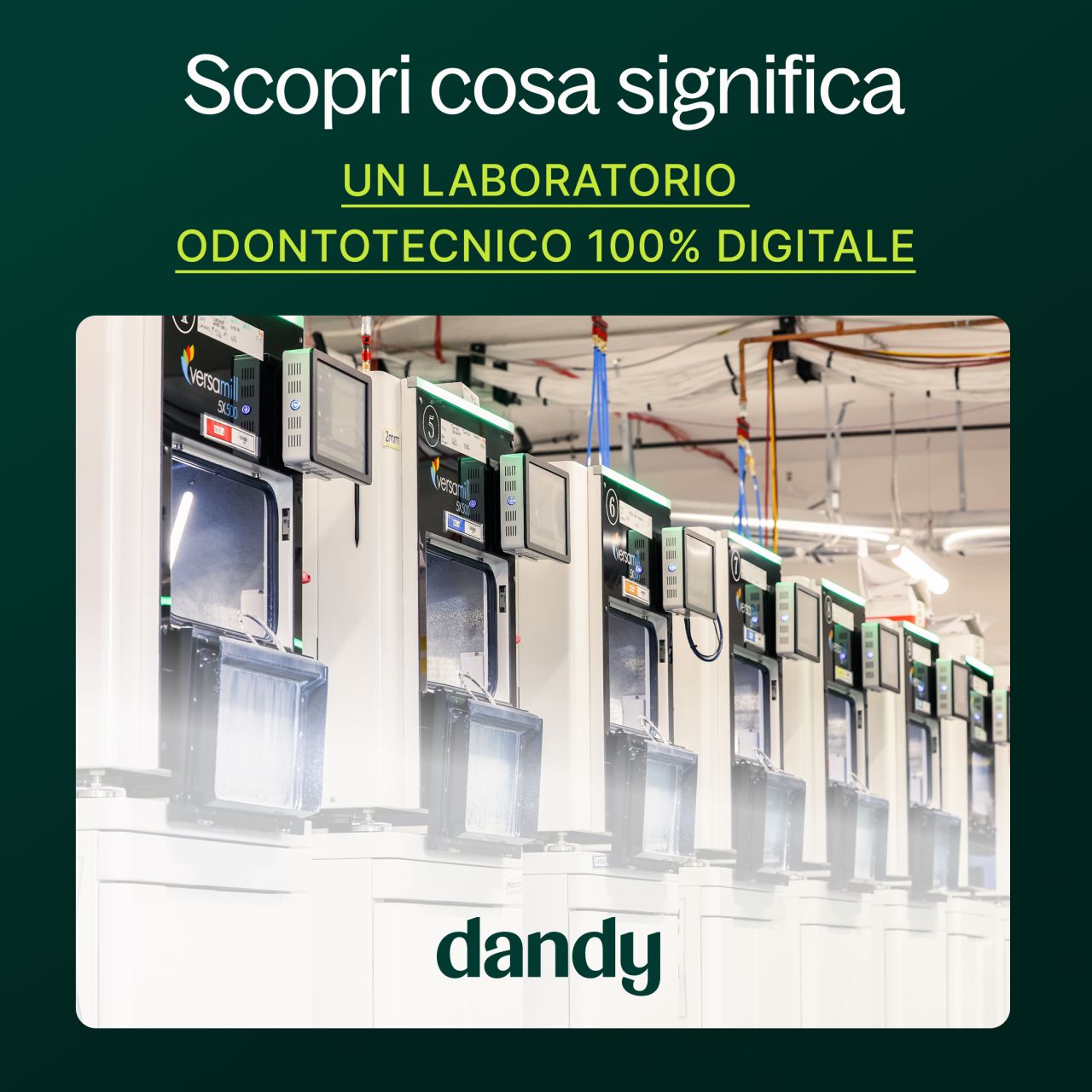 Dandy ad