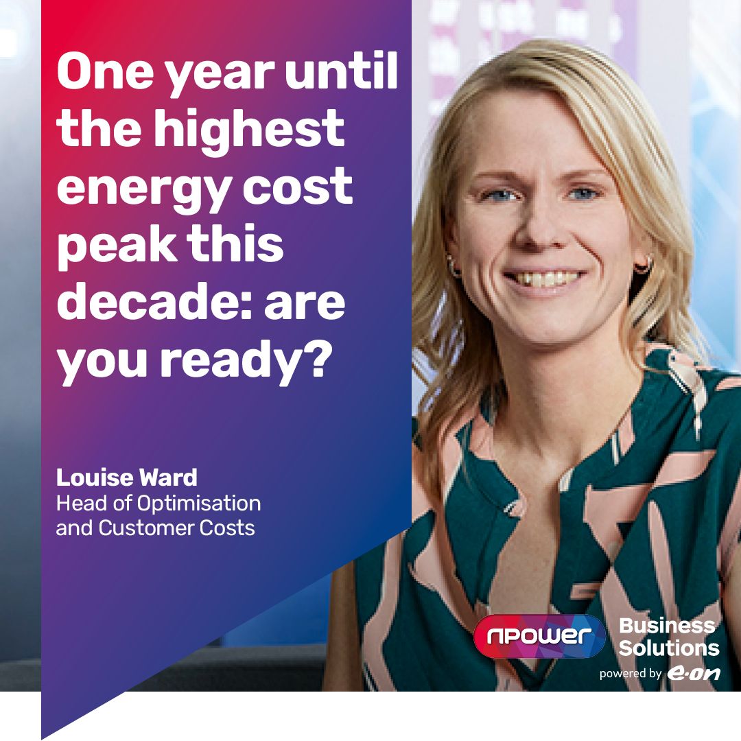 npower Business Solutions ad
