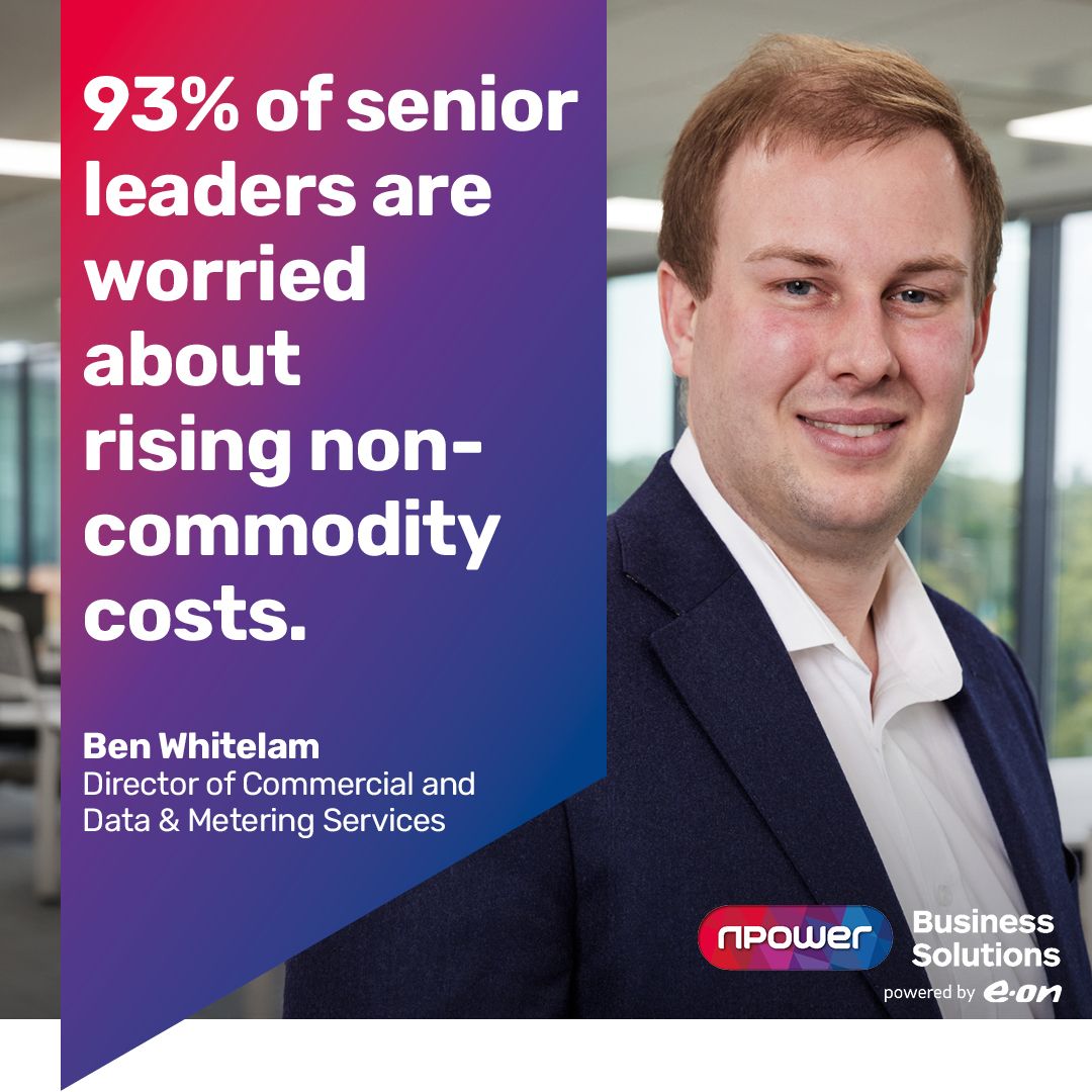 npower Business Solutions ad