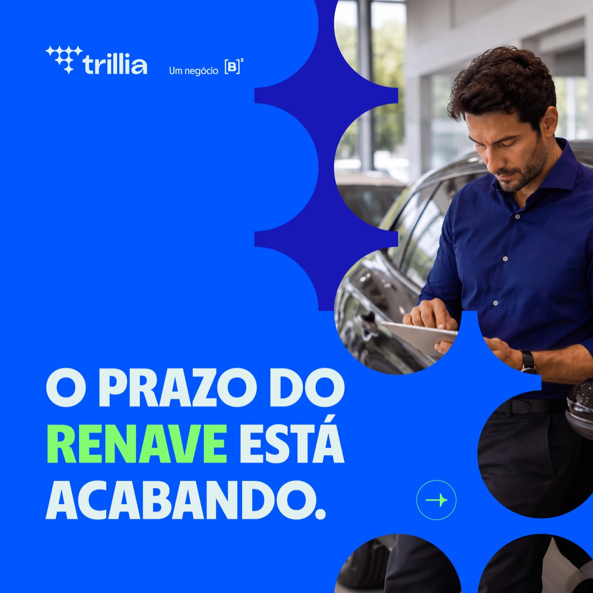Trillia ad