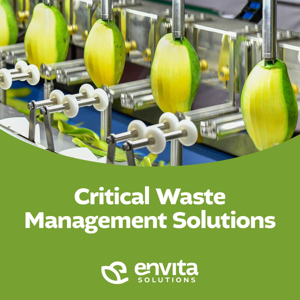 Envita Solutions ad