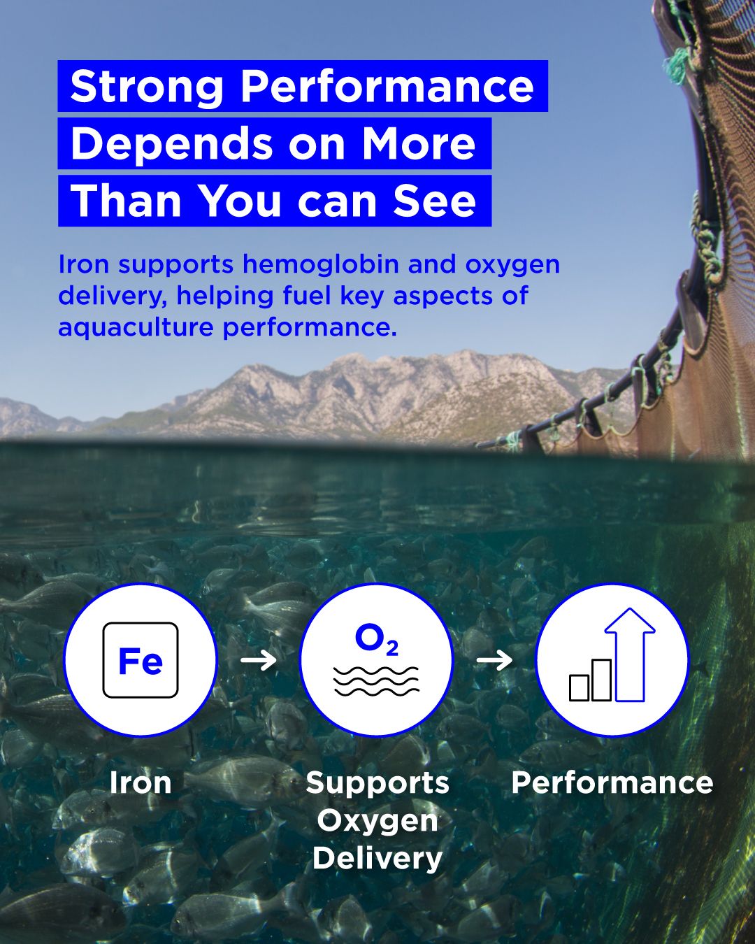 Zinpro Corporation ad
