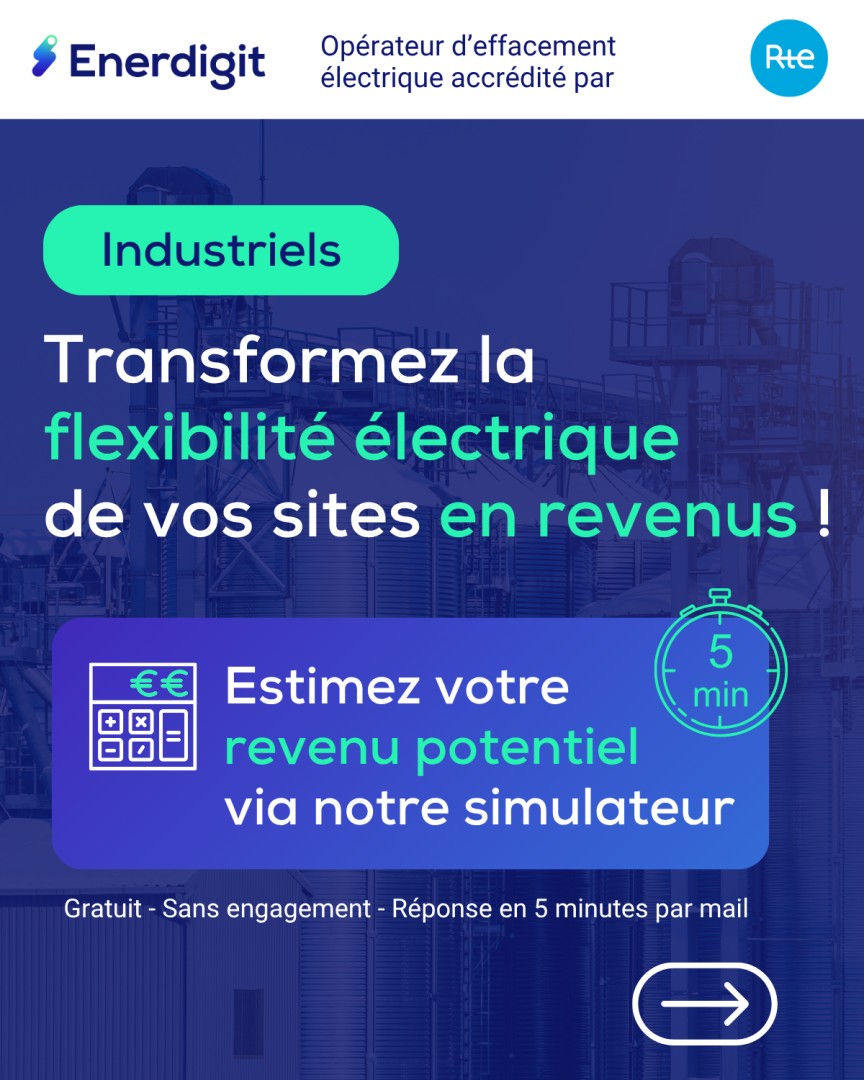 Enerdigit ad