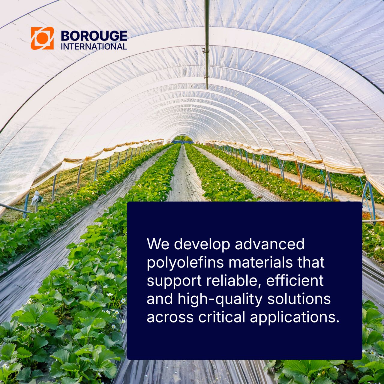 Borouge International ad
