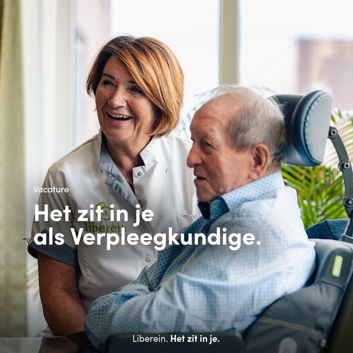 Liberein ad