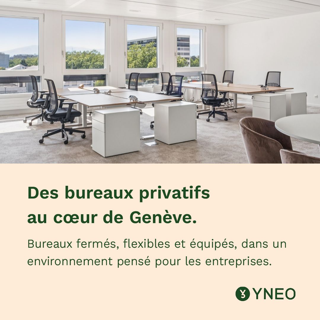 YNEO ad