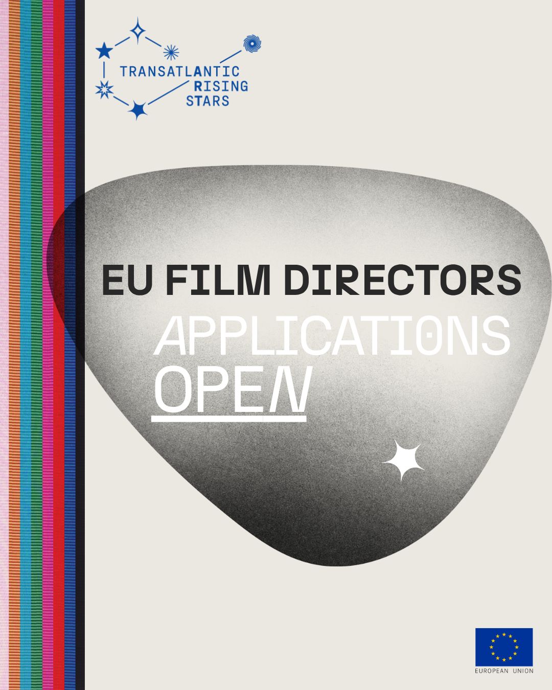 European Union Delegation to the United States ad