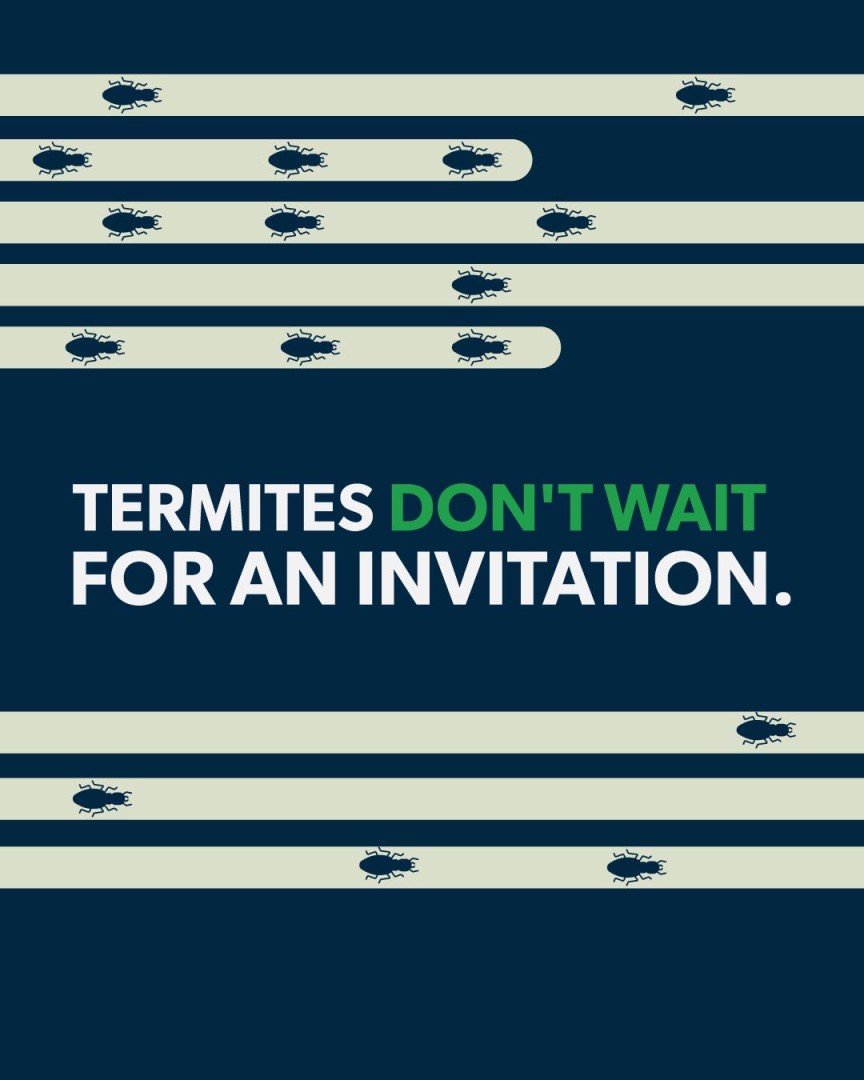 Terminix ad