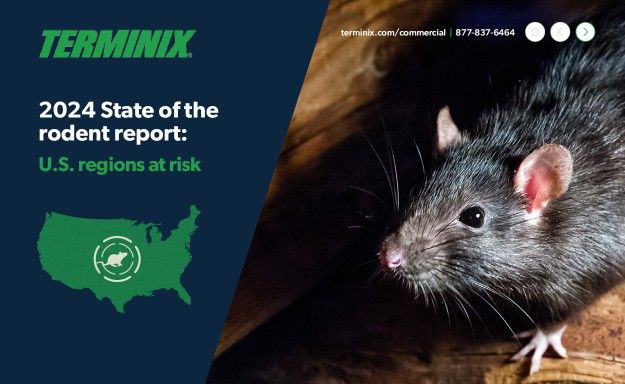 Terminix ad