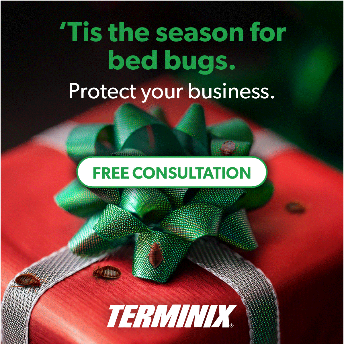 Terminix ad