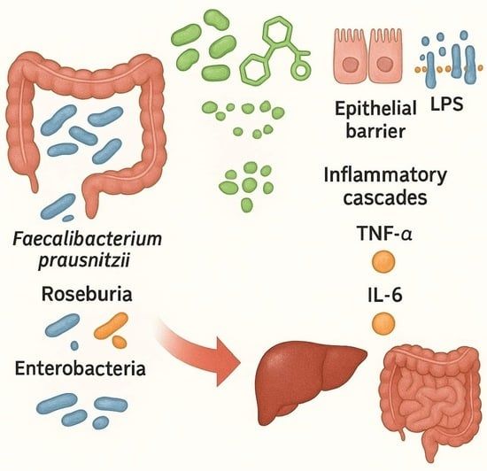 Current Issues in Molecular Biology MDPI ad