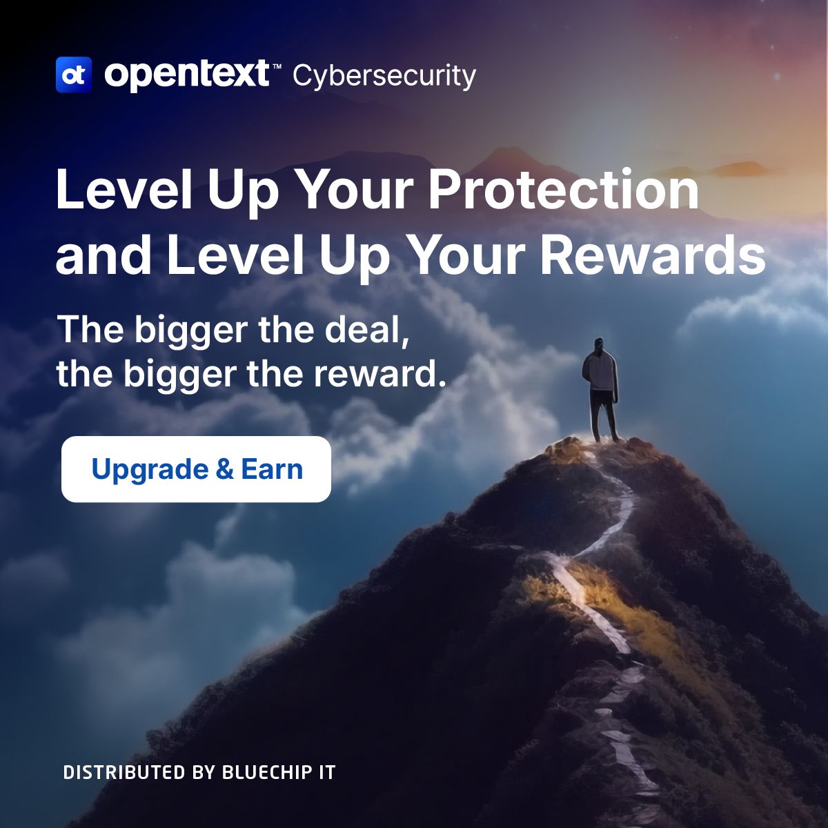 Bluechip Infotech ad