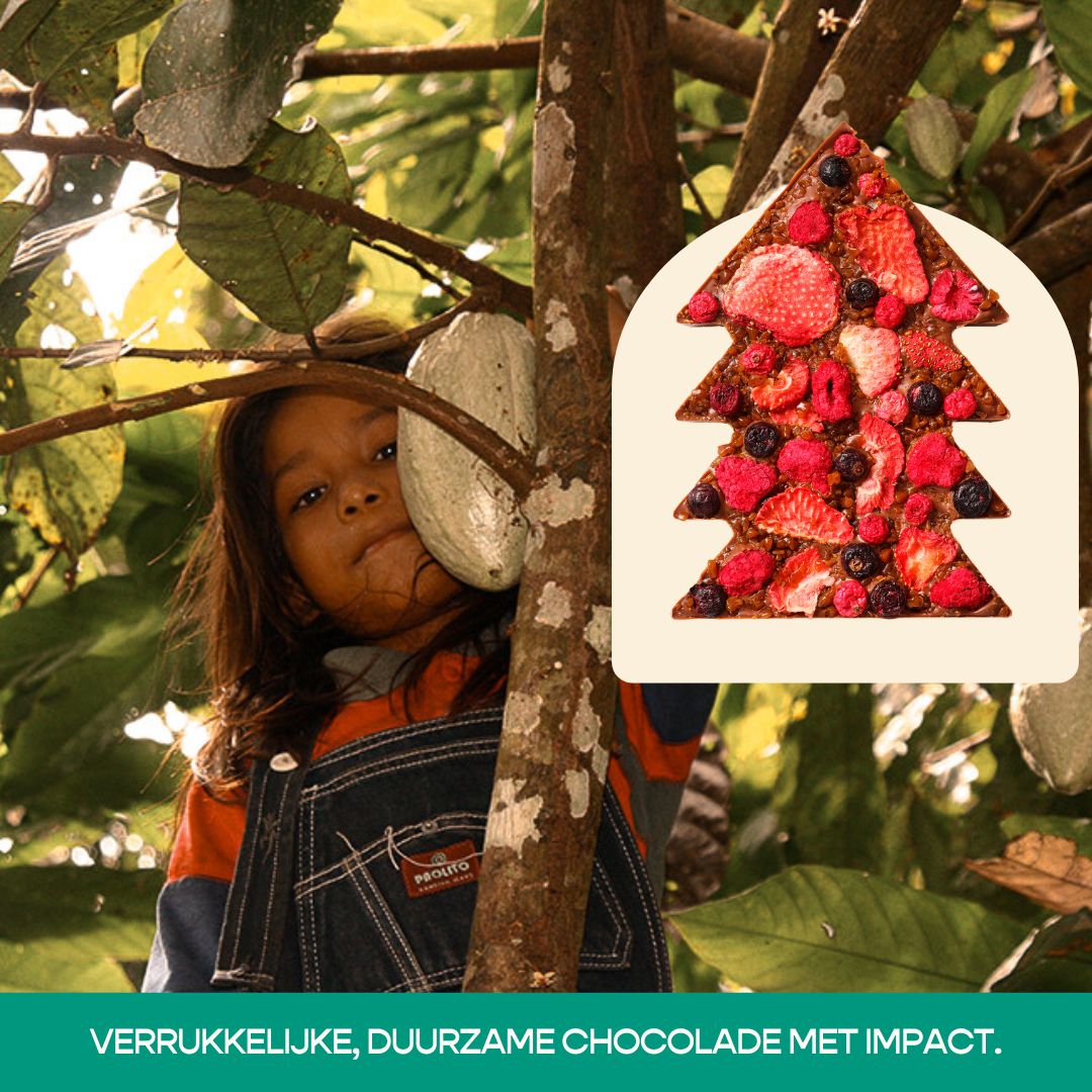Chocolatemakers | B Corp ad