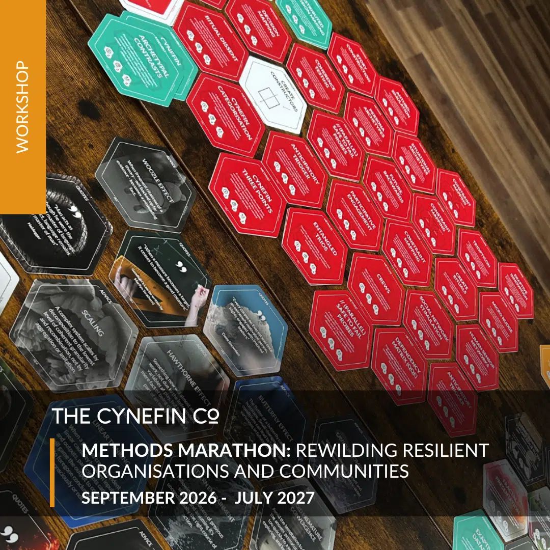 The Cynefin Company ad