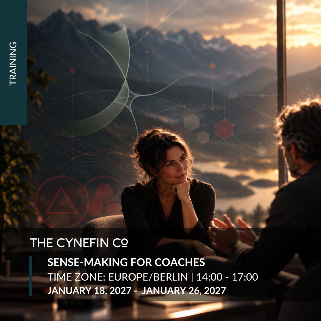The Cynefin Company ad