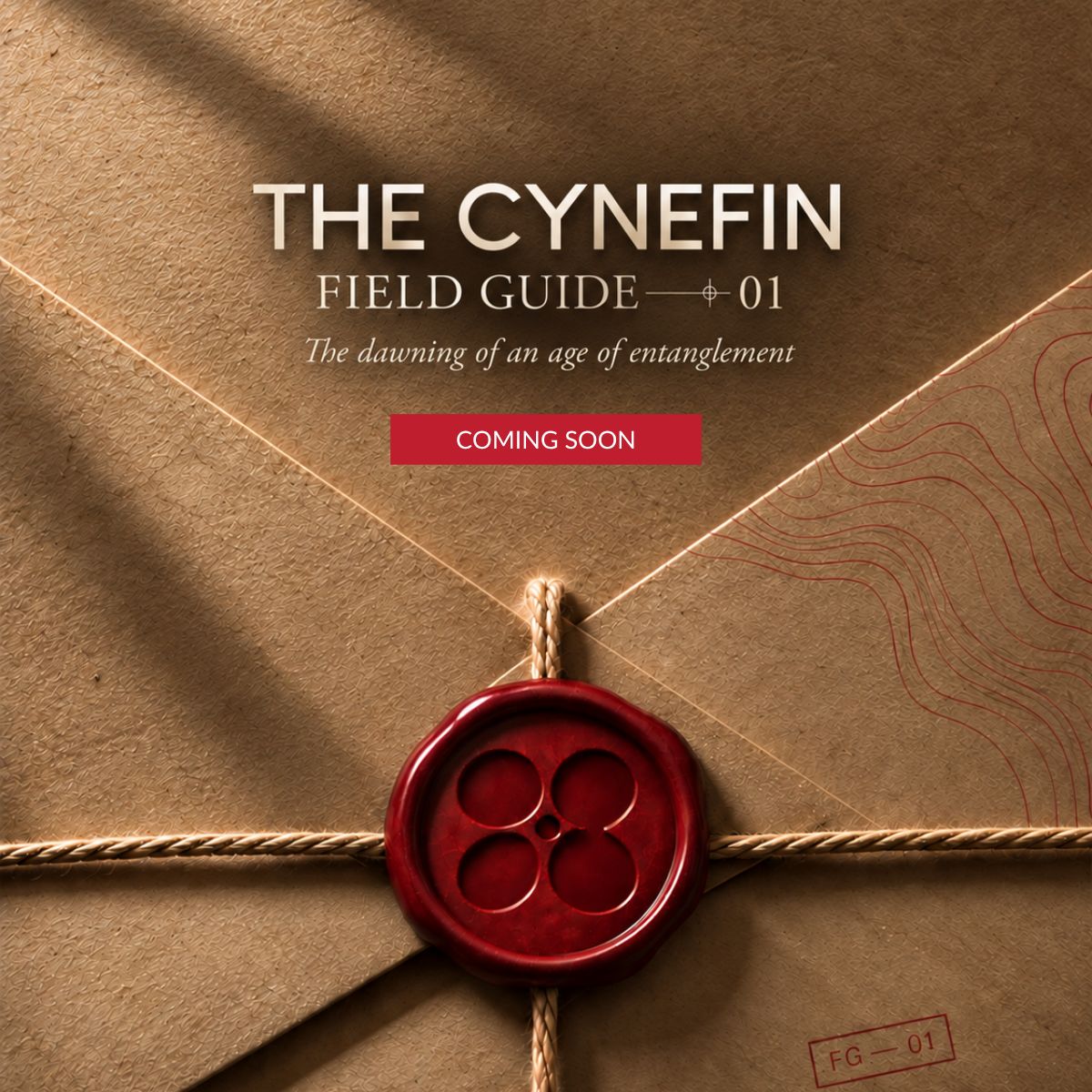 The Cynefin Company ad